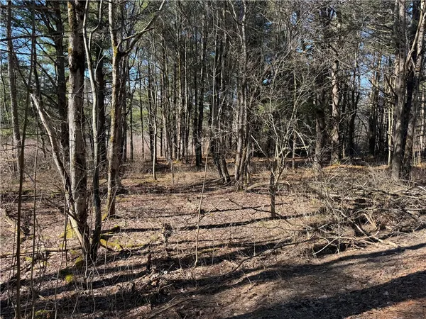 $99,400 | Hattie Clark Road, Oxford, NY 13830