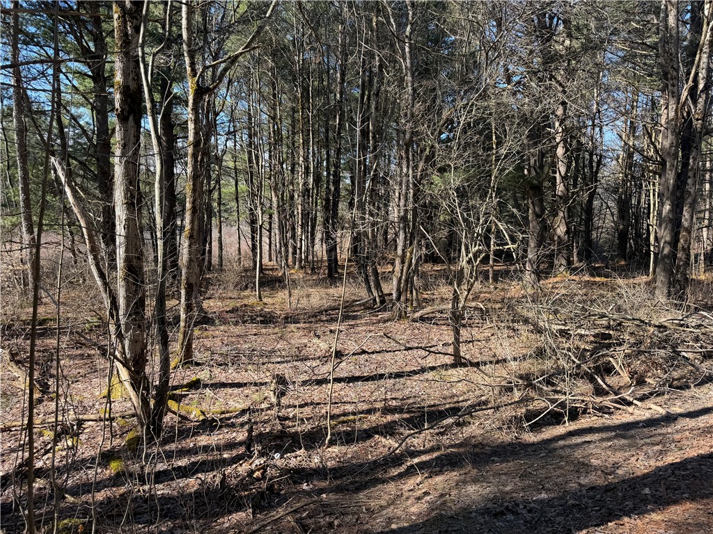 Hattie Clark Road Oxford, NY 13830 - Photo 9 of 10