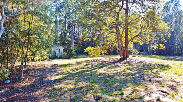 a view of a yard with plants