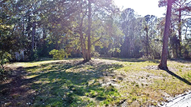 a view of a yard with a trees