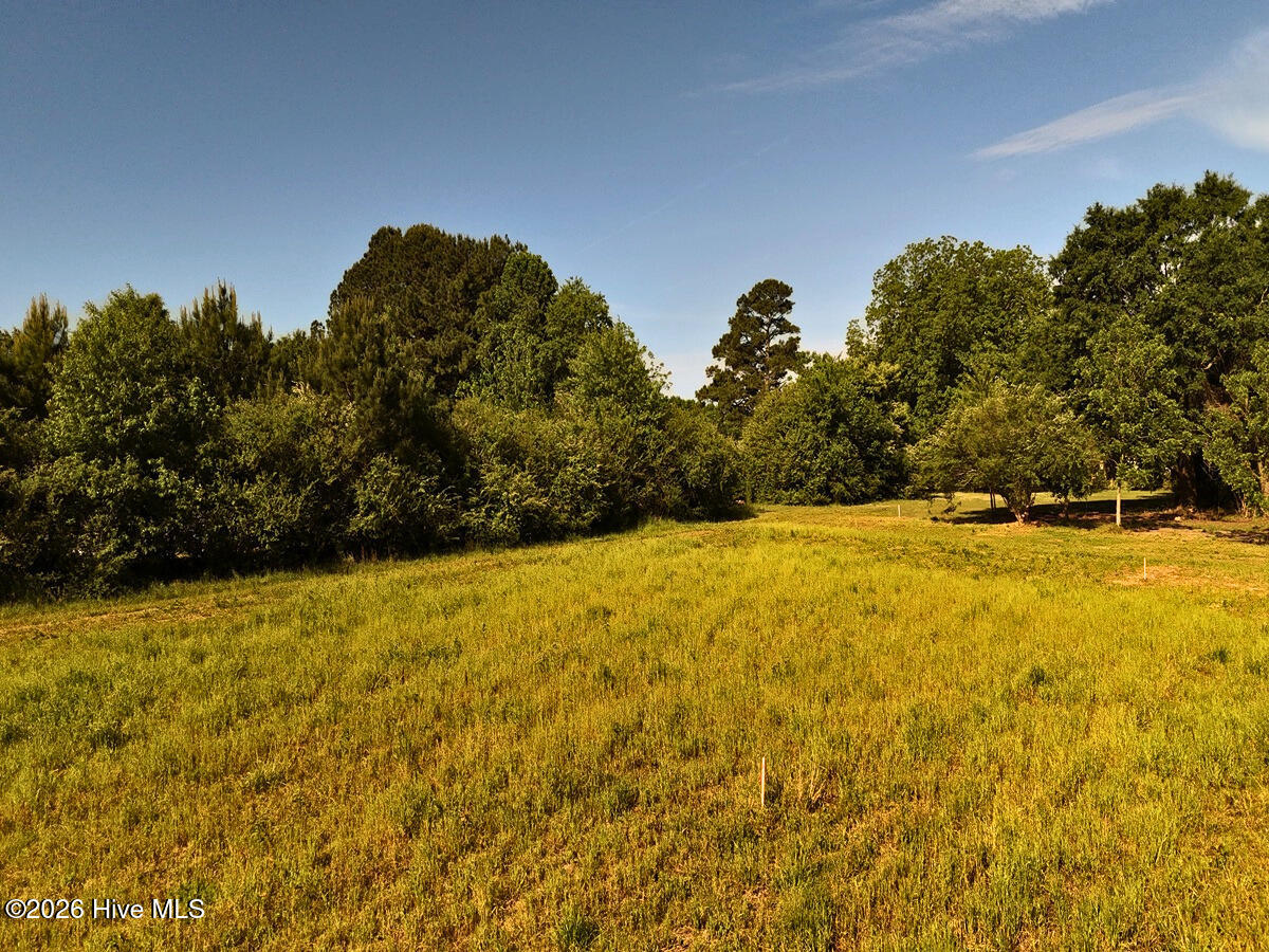 0 Old Chinquapin Road Beulaville, NC 28518 - Photo 13 of 31 13.