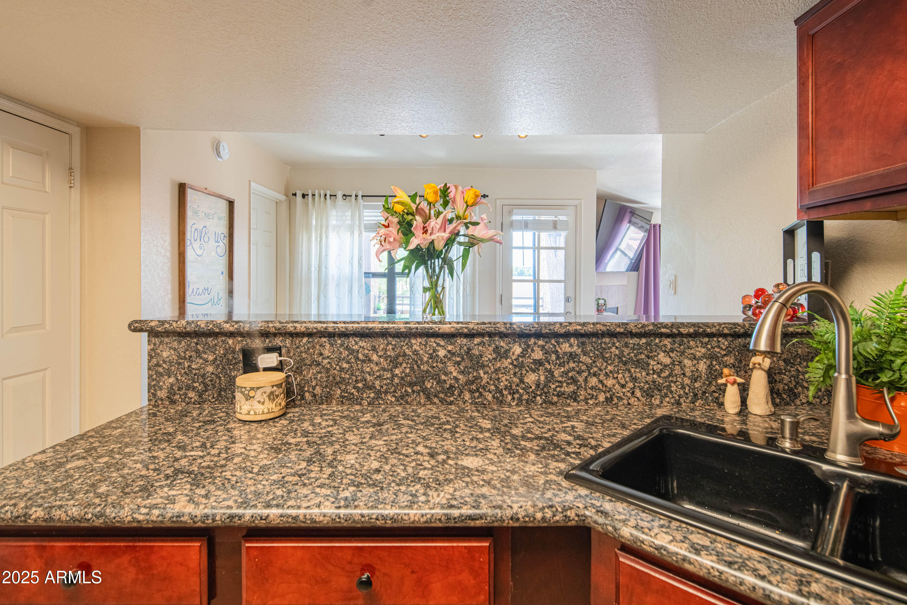 8787 East Mountain View Road, Unit 2104 Scottsdale, AZ 85258 - Photo 17 of 45 craigrootimaging_2104-17