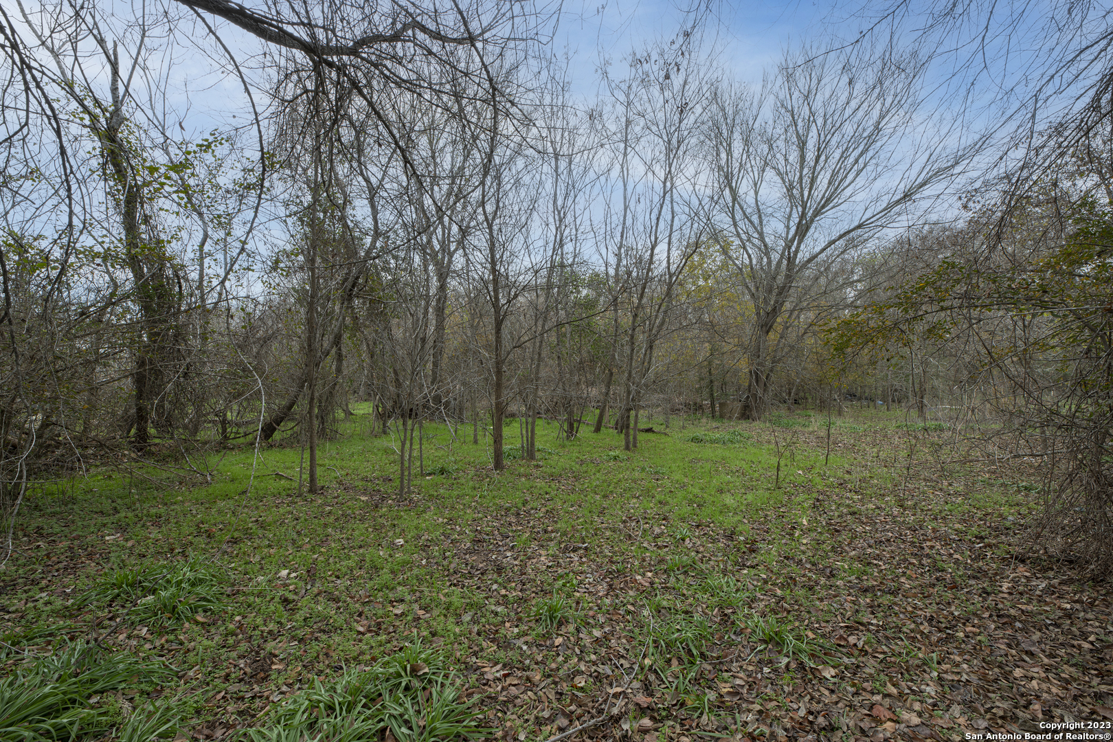305 Trinity Street Luling, TX 78648 - Photo 16 of 25 a view of outdoor space and green space