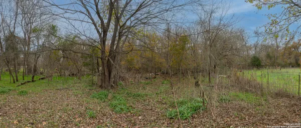 a view of a yard