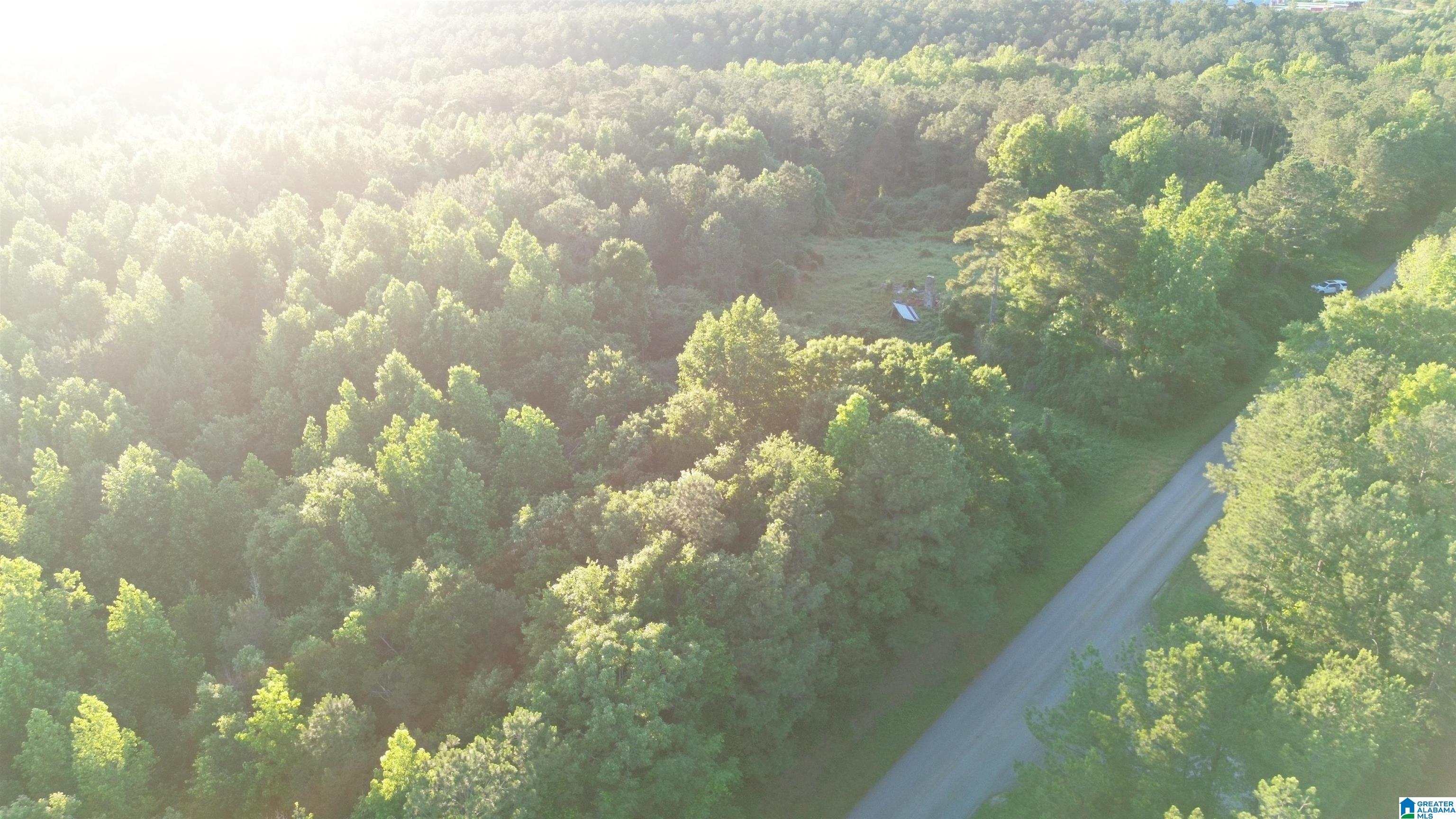 0 Bluff Springs Road Ashland, AL 36251 - Photo 5 of 8
