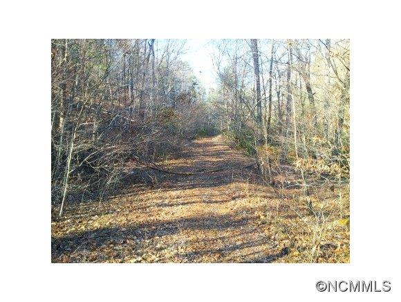 Lot 20 Cedar Grove Rd Mill Spring, Unit 20 23 Mill Spring, NC 28756 - Photo 1 of 6