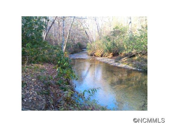 Lot 20 Cedar Grove Rd Mill Spring, Unit 20 23 Mill Spring, NC 28756 - Photo 3 of 6