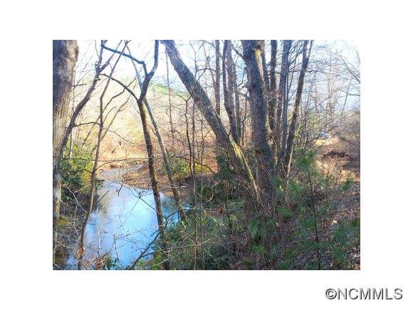 Lot 20 Cedar Grove Rd Mill Spring, Unit 20 23 Mill Spring, NC 28756 - Photo 4 of 6