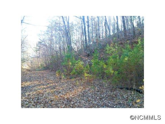 Lot 20 Cedar Grove Rd Mill Spring, Unit 20 23 Mill Spring, NC 28756 - Photo 5 of 6