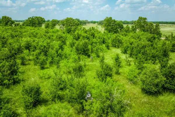 a view of a lush green yard