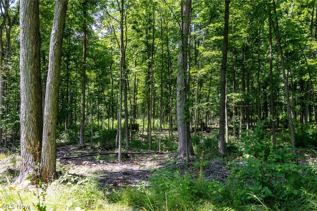 Wayland Road Diamond, OH 44412 - Photo 16 of 20