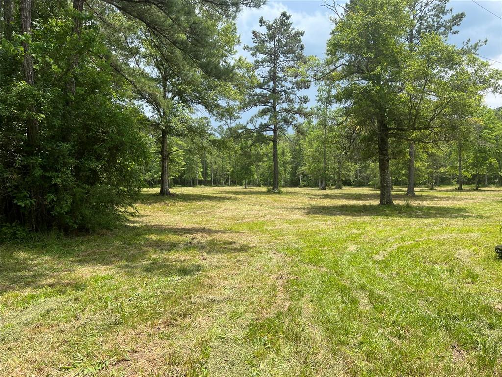 80250 Sweeney Road Bush, LA 70431 - Photo 12 of 16 Gallery Image 12