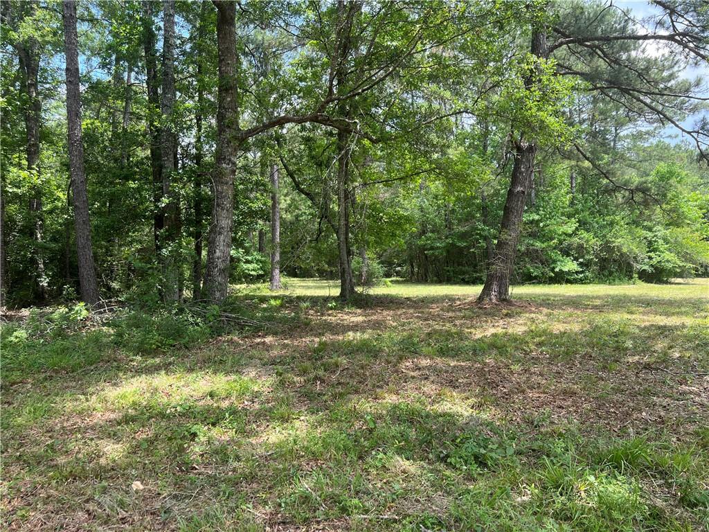 80250 Sweeney Road Bush, LA 70431 - Photo 14 of 16 Gallery Image 14