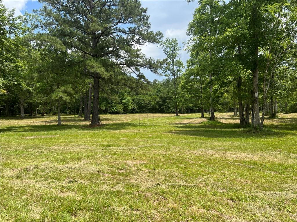 80250 Sweeney Road Bush, LA 70431 - Photo 15 of 16 Gallery Image 15