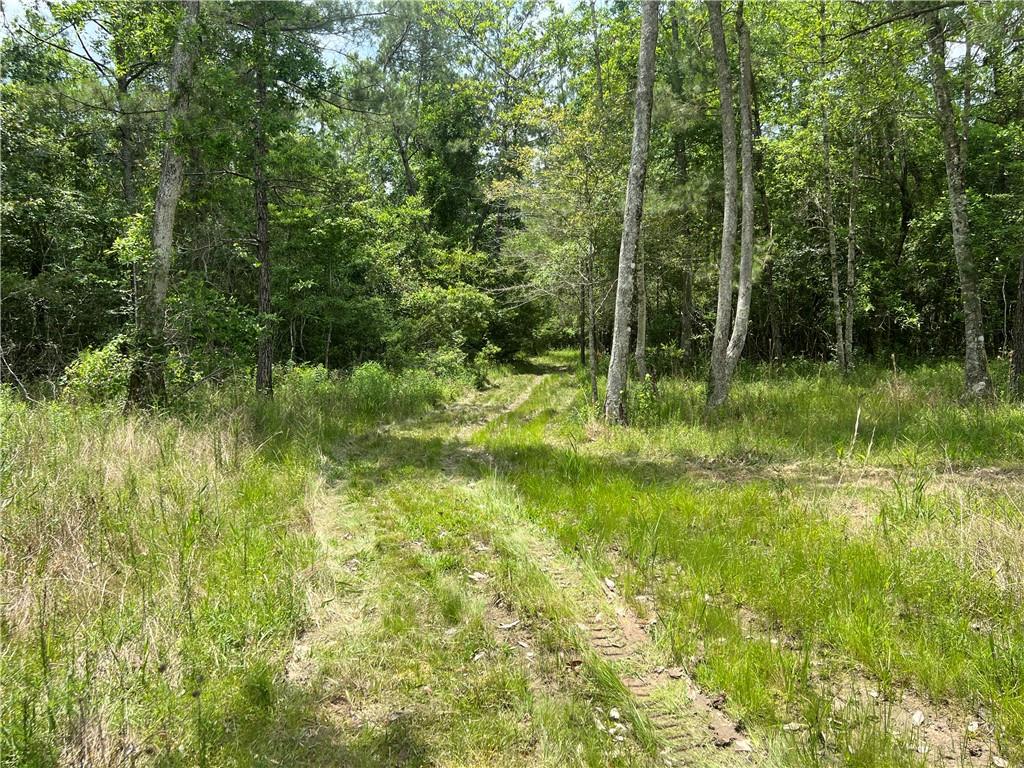 80250 Sweeney Road Bush, LA 70431 - Photo 16 of 16 Gallery Image 16