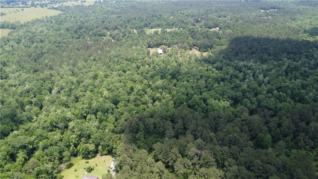 80250 Sweeney Road Bush, LA 70431 - Photo 5 of 16 Gallery Image 5