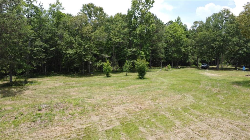 80250 Sweeney Road Bush, LA 70431 - Photo 8 of 16 Gallery Image 8