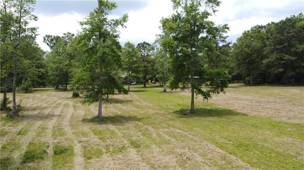 80250 Sweeney Road Bush, LA 70431 - Photo 10 of 16 Gallery Image 10