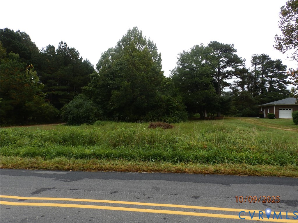860 Lebanon Road Spring Grove, VA 23881 - Photo 32 of 32 a view of a yard from a window