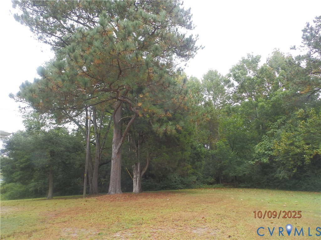 860 Lebanon Road Spring Grove, VA 23881 - Photo 5 of 32 a view of house with large trees