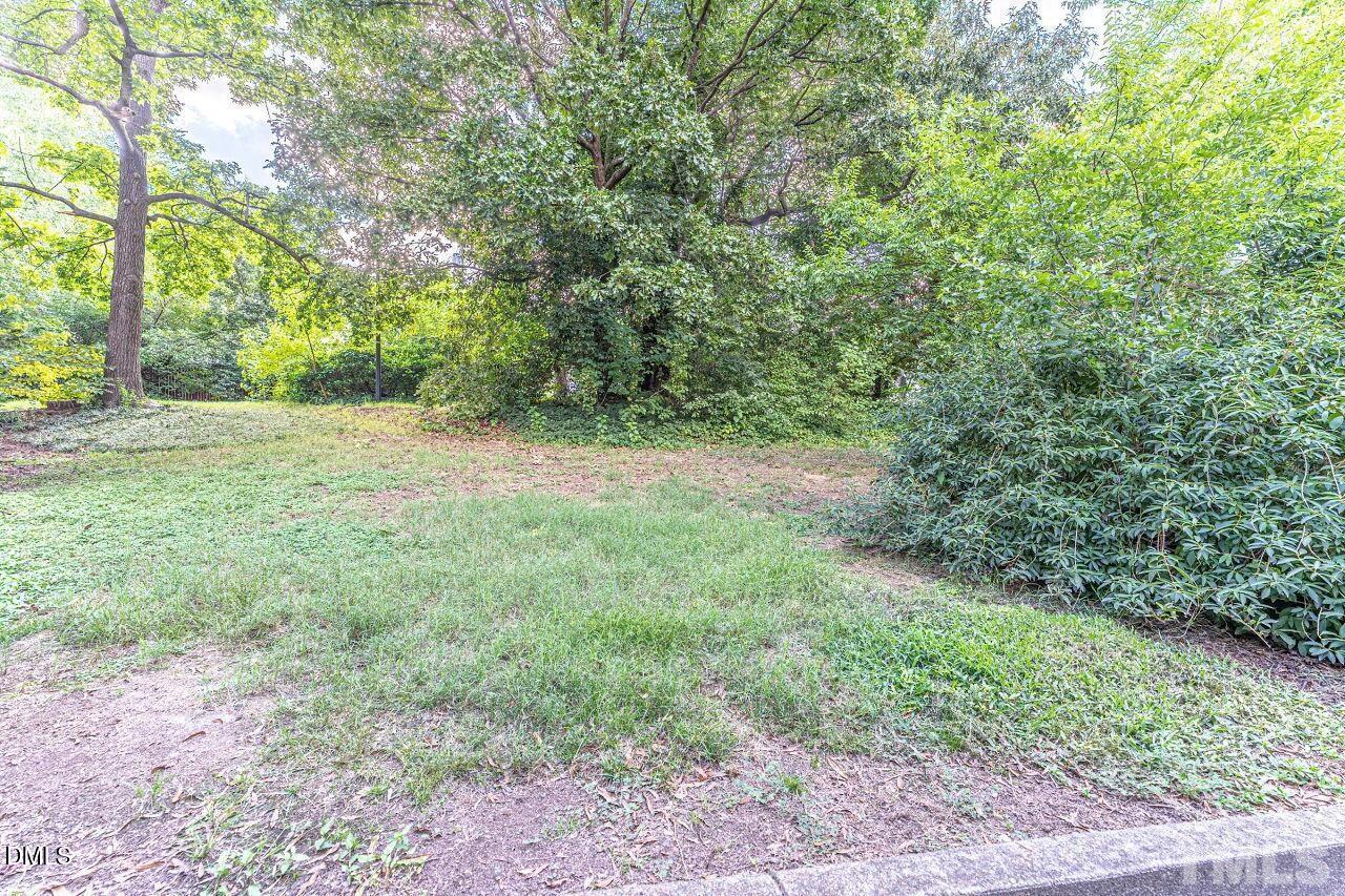1037 St Marys Street, Unit 1037 Raleigh, NC 27605 - Photo 35 of 36 a view of a yard with a trees