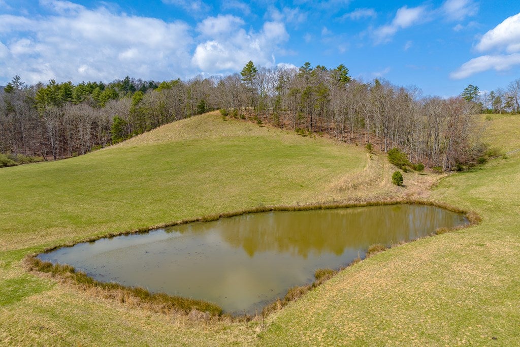 2253 Price Ridge Road Bland, VA 24315 - Photo 59 of 65 Gallery Image 59