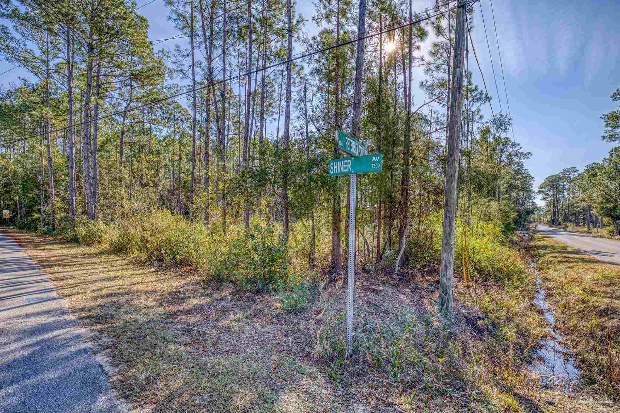 0 Petersen Point Road Milton, FL 32583 - Photo 4 of 13