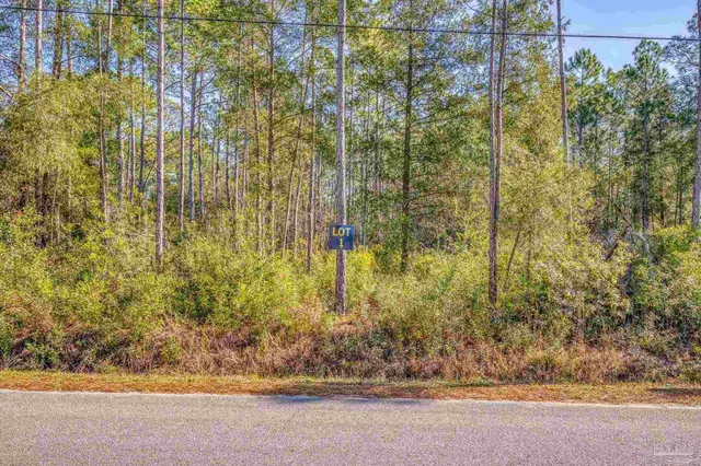 $105,000 | 0 Petersen Point Road, Milton, FL 32583