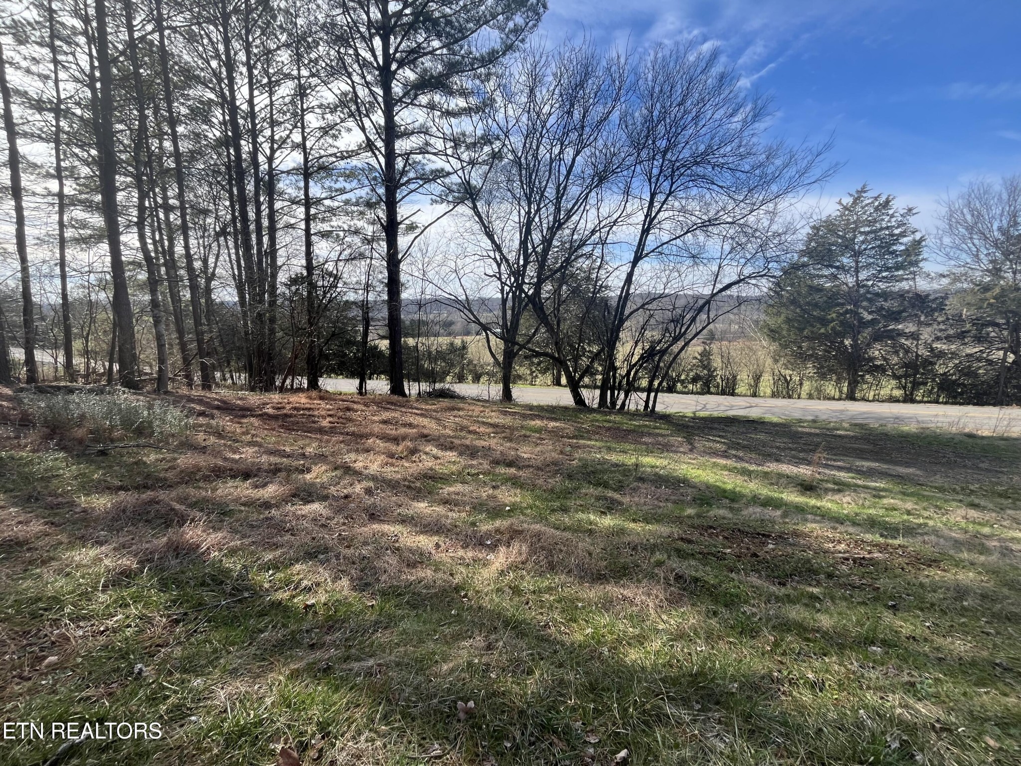 0 Cr 67 Road Riceville, TN 37370 - Photo 30 of 50 Gallery Image 30