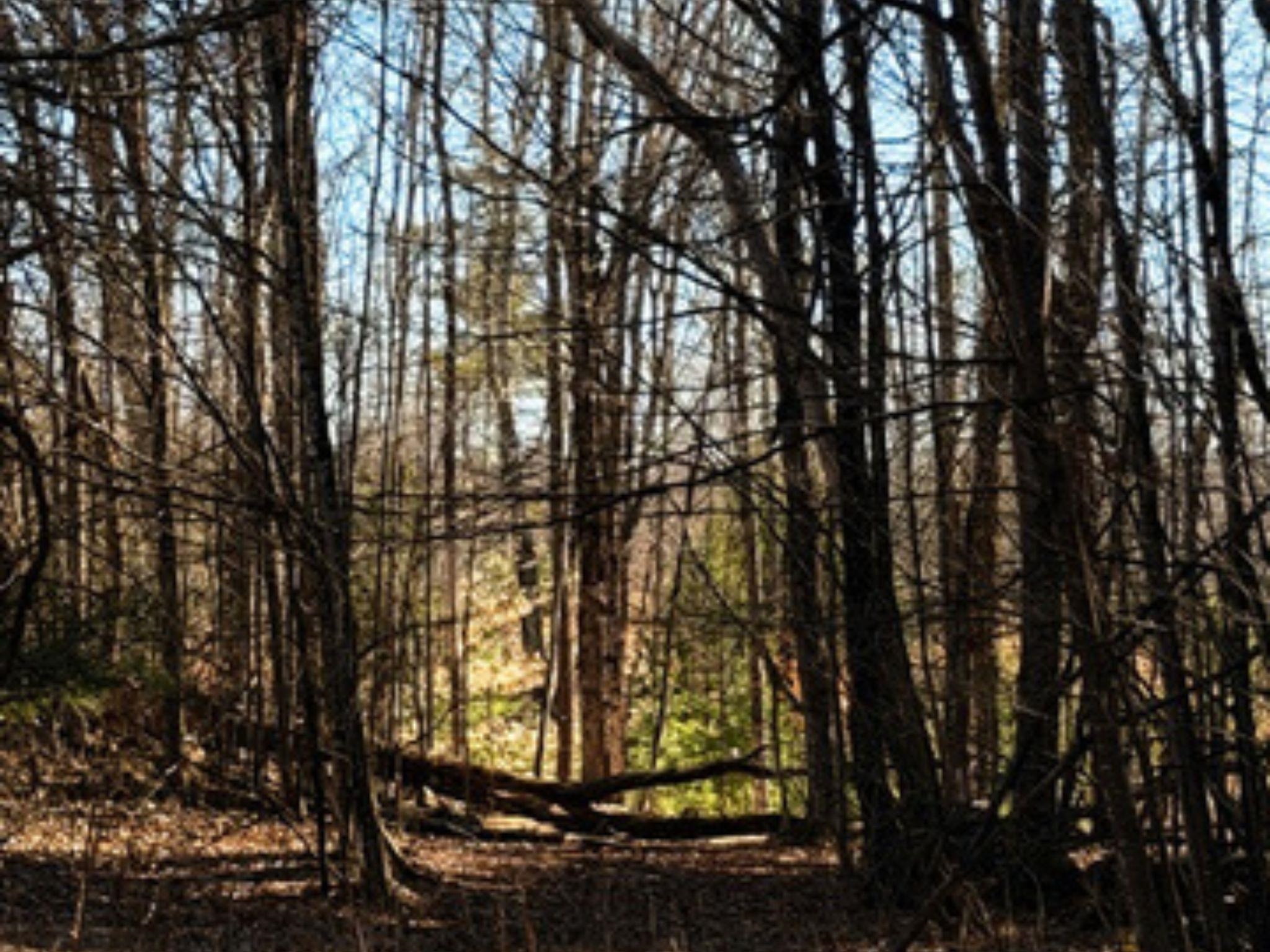 702 Province Road Belmont, NH 03220 - Photo 12 of 18 Gallery Image 12