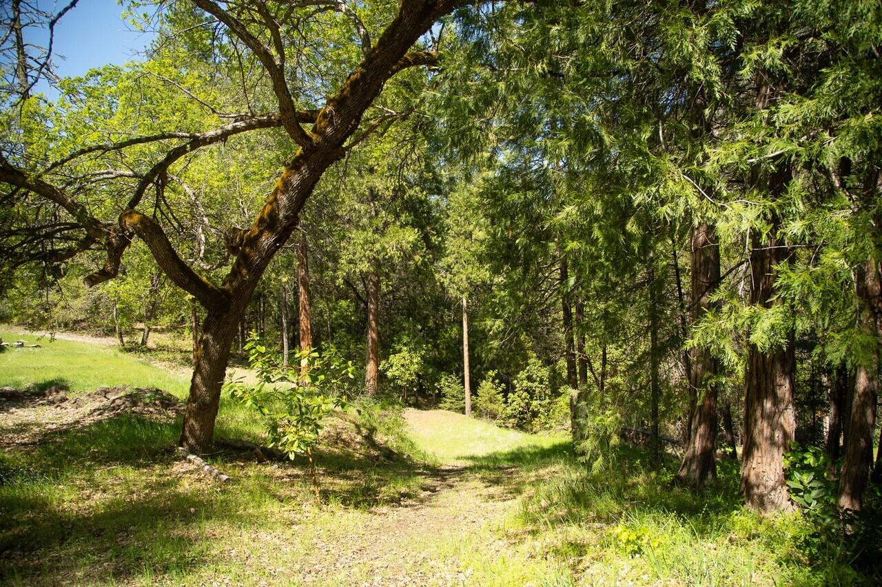 10041 Highway 299, Unit 299 Burnt Ranch, CA 95527 - Photo 9 of 44