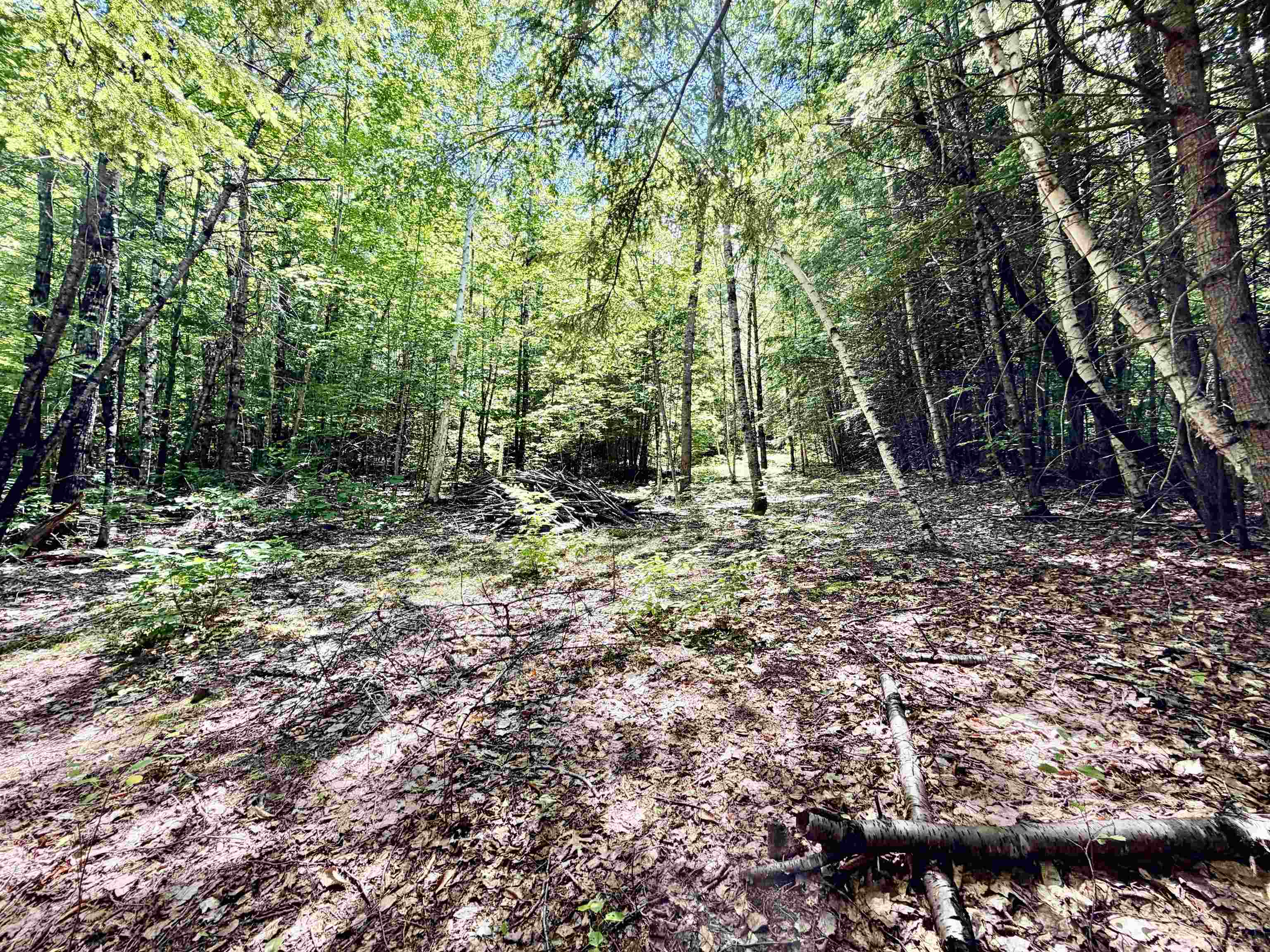 175 Nh Route Campton, NH 03223 - Photo 15 of 15