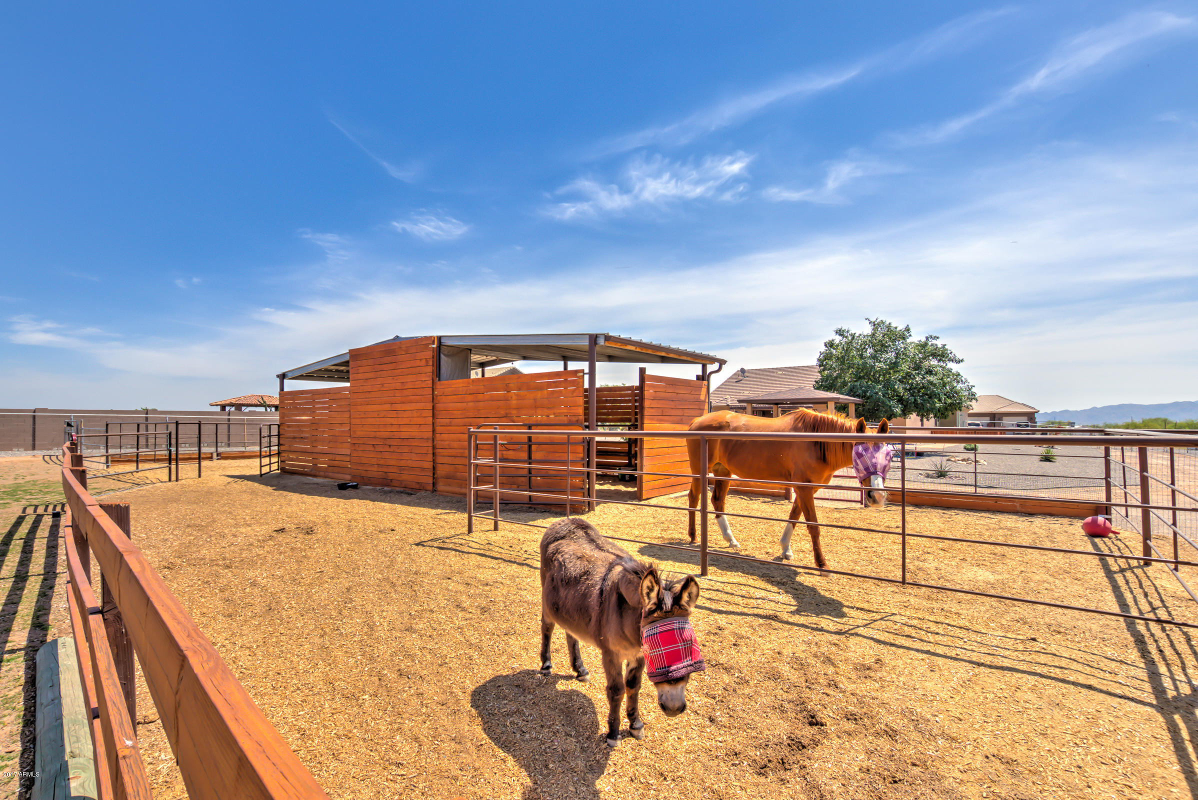 21120 West Sleepy Ranch Road Wittmann, AZ 85361 - Photo 46 of 66 2110 W Sleepy Ranch Rd-87