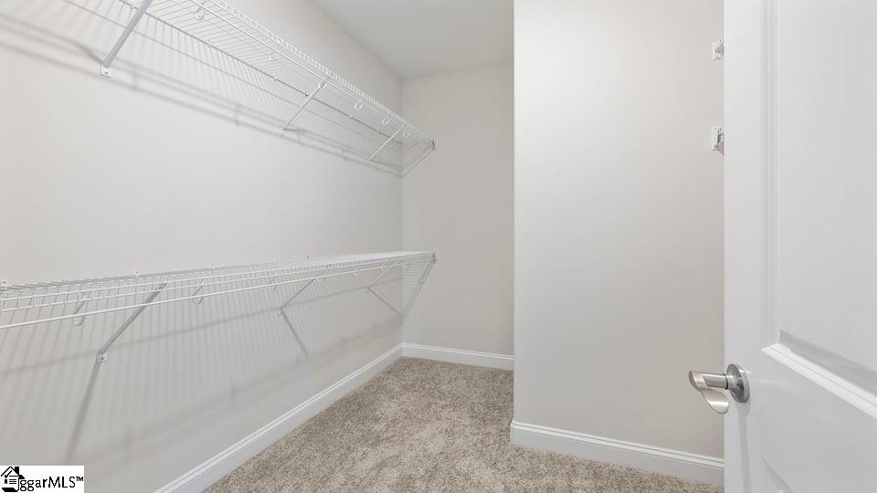 330 River Trce Loop Simpsonville, SC 29680 - Photo 27 of 32