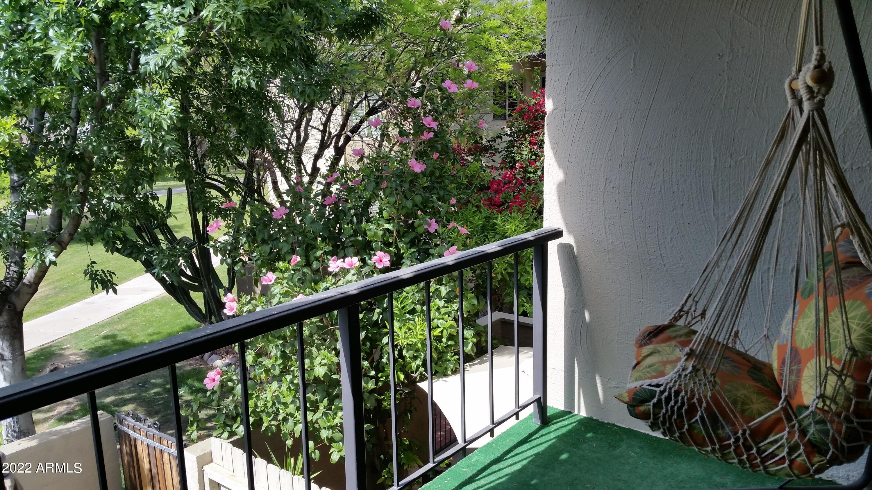 4201 East Camelback Road, Unit 58 Phoenix, AZ 85018 - Photo 5 of 20 patio