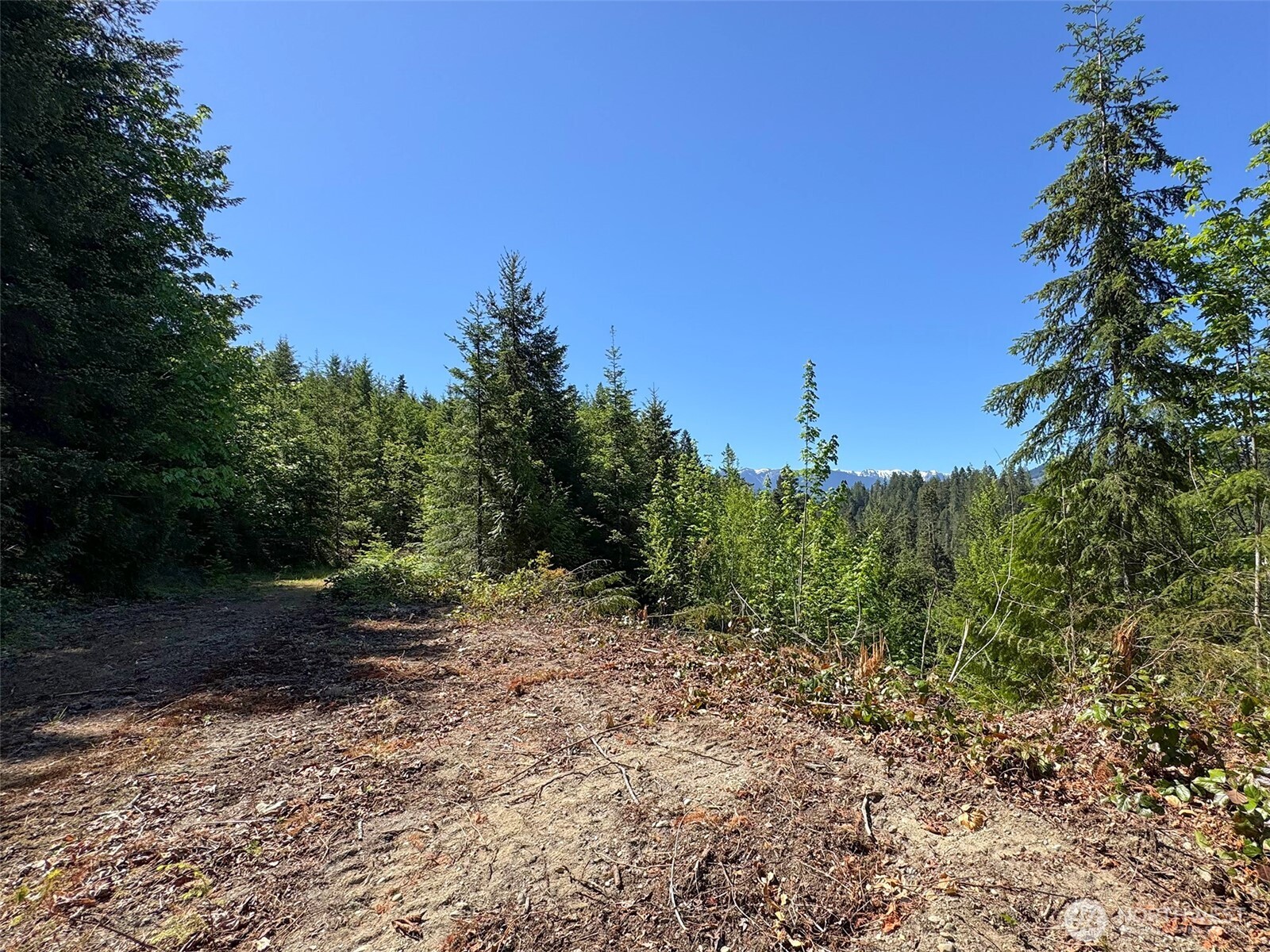 9999 Blue Mountain Road Port Angeles, WA 98362 - Photo 23 of 38 Gallery Image 23