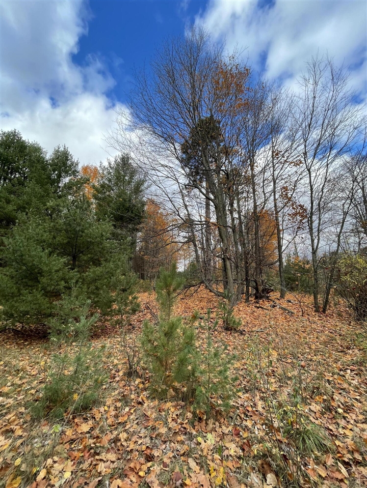 11 11 Mile Road Free Soil, MI 49411 - Photo 8 of 10