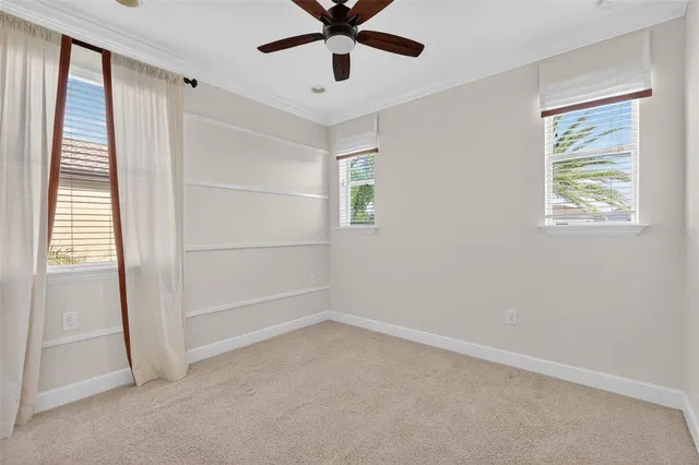 a view of a swimming pool with a lawn chairs under palm trees