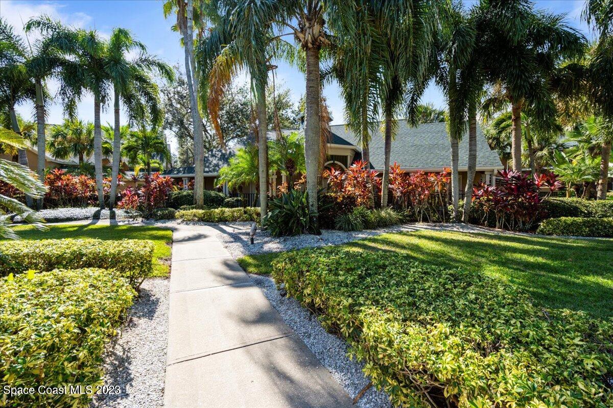 7667 North Wickham Road, Unit 916 Melbourne, FL 32940 - Photo 43 of 53 a view of a garden with palm trees