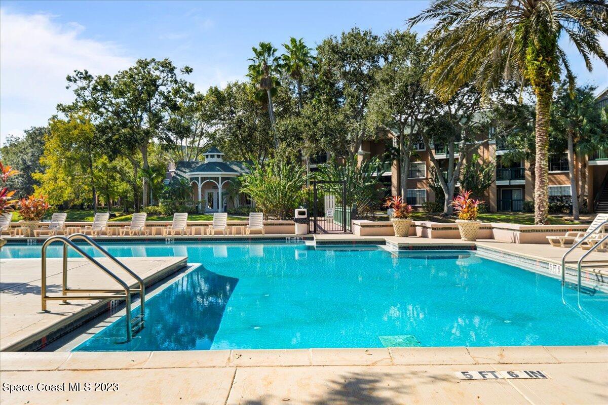 7667 North Wickham Road, Unit 916 Melbourne, FL 32940 - Photo 51 of 53 a view of swimming pool with lounge chair and trees