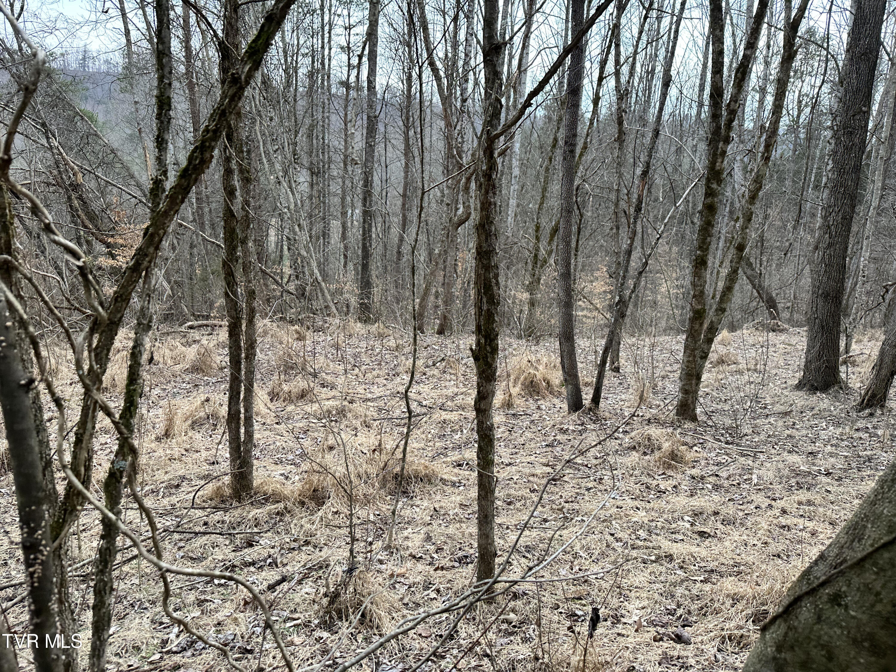 702 Speedwell Road Bulls Gap, TN 37711 - Photo 37 of 56 37 IMG_4677