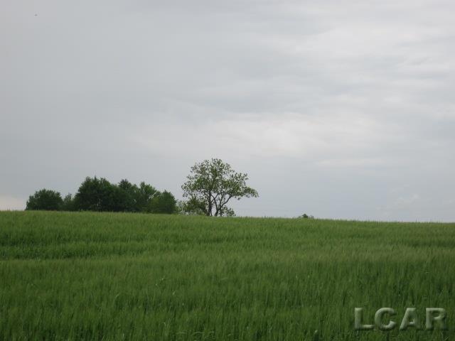 7000 Woerner Road Adrian, MI 49221 - Photo 2 of 2 Gallery Image 2