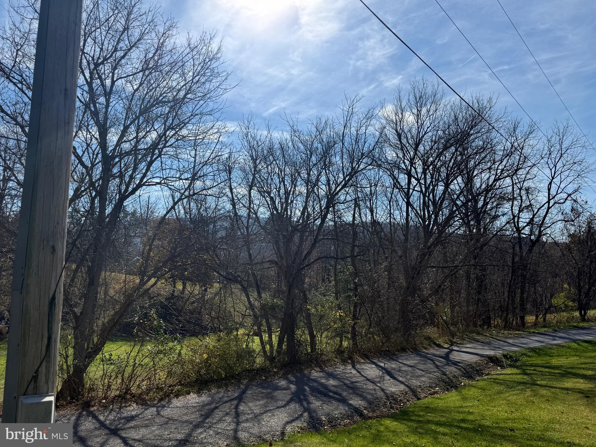 275 Gap Road Linden, VA 22642 - Photo 3 of 59 Serene path through winter's embrace.