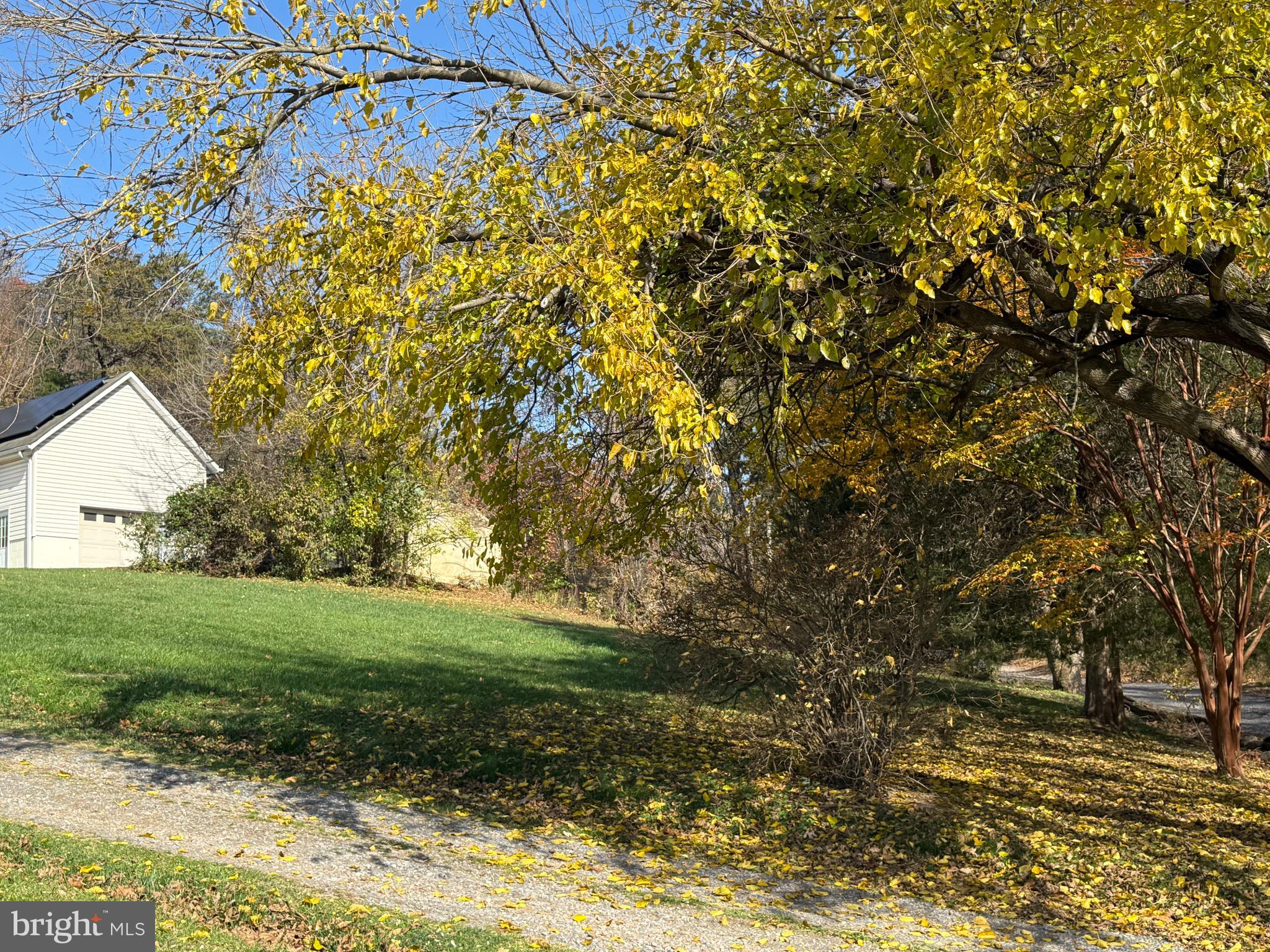 275 Gap Road Linden, VA 22642 - Photo 5 of 59 Charming autumn scene with vibrant foliage.