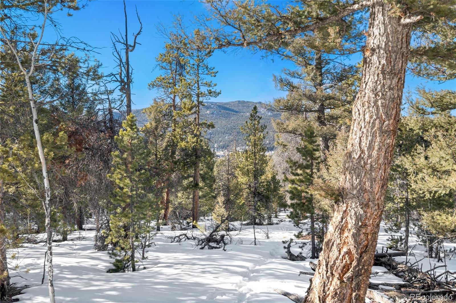 26830 Longview Drive Conifer, CO 80433 - Photo 11 of 26