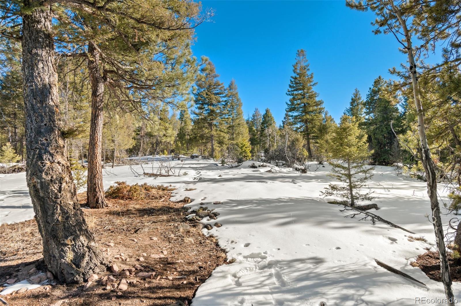 26830 Longview Drive Conifer, CO 80433 - Photo 12 of 26