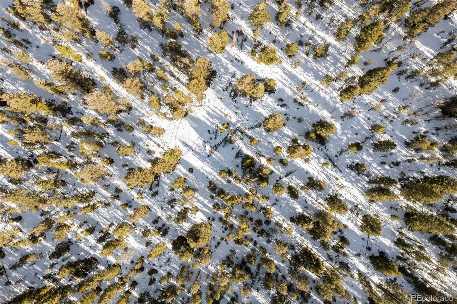 26830 Longview Drive Conifer, CO 80433 - Photo 17 of 26