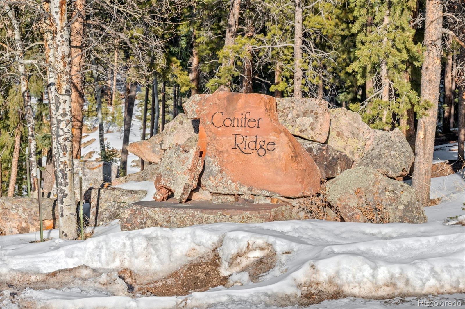 26830 Longview Drive Conifer, CO 80433 - Photo 2 of 26