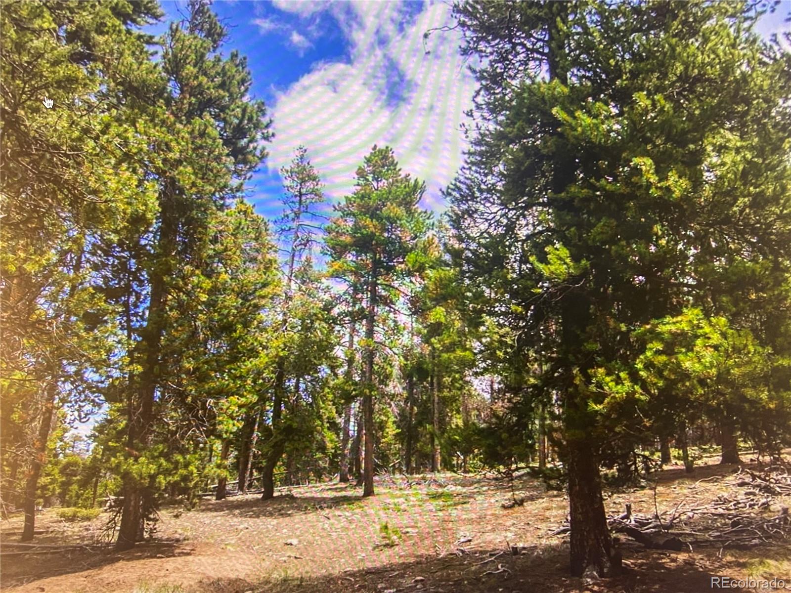 26830 Longview Drive Conifer, CO 80433 - Photo 4 of 26