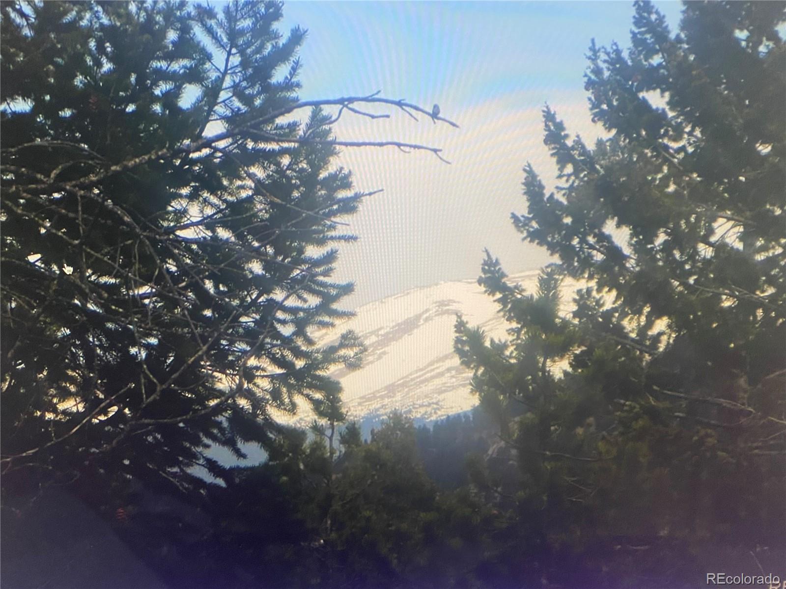 26830 Longview Drive Conifer, CO 80433 - Photo 6 of 26